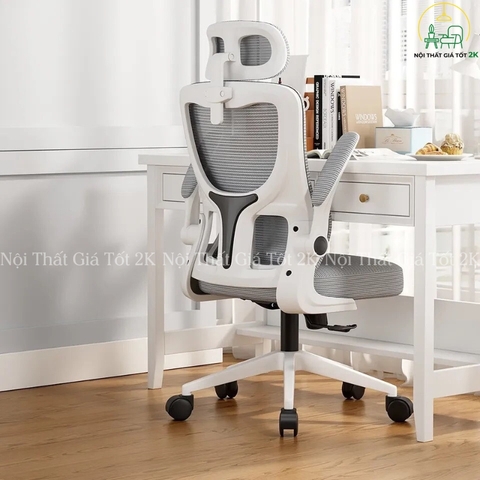 Ghế Công Thái Học CT046