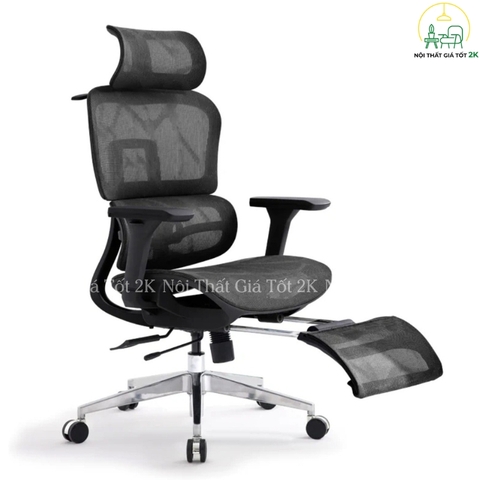 Ghế Công Thái Học EG02