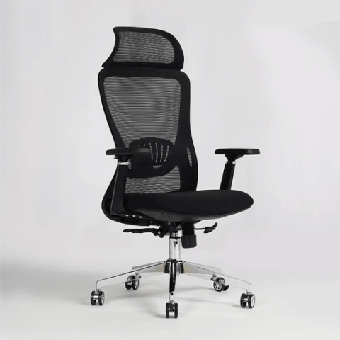 Ghế Công Thái Học A877