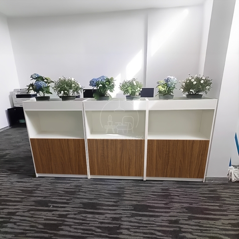 Tủ Hồ Sơ Thấp THC021