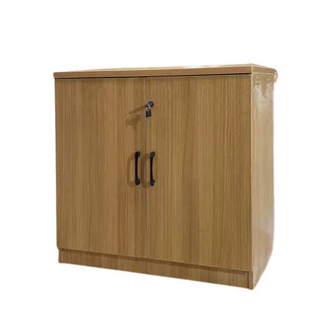 Tủ Hồ Sơ Thấp HS004