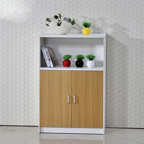 Tủ tài liệu classic TLC01