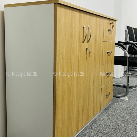 Tủ tài liệu classic TLC03