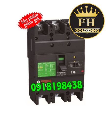 ELCB Schneider Type H 36kA 3P 63A-250A