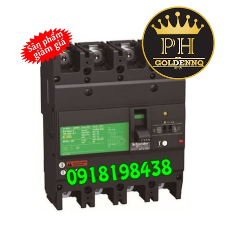 ELCB Schneider Type H 36kA 4P 63A-250A