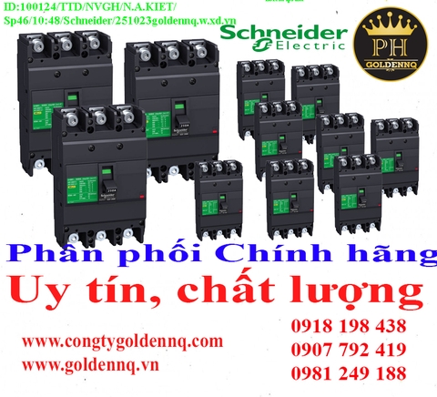 Cầu dao dạng khối Schneider (MCCB) chính hãng, giá sỉ, bảo hành, phân phối toàn quốc. Để biết thêm thông tin chi tiết xin vui lòng liên hệ hotline.