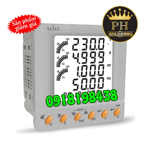 Đồng Hồ Đo Đa Năng Selec MFM384-C
