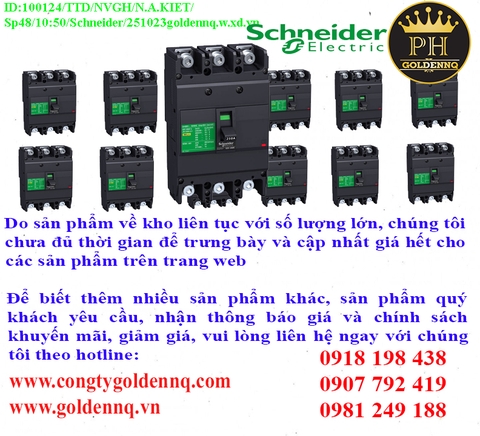 Cầu dao dạng khối Schneider (MCCB) chính hãng, giá sỉ, phân phối toàn quốc.