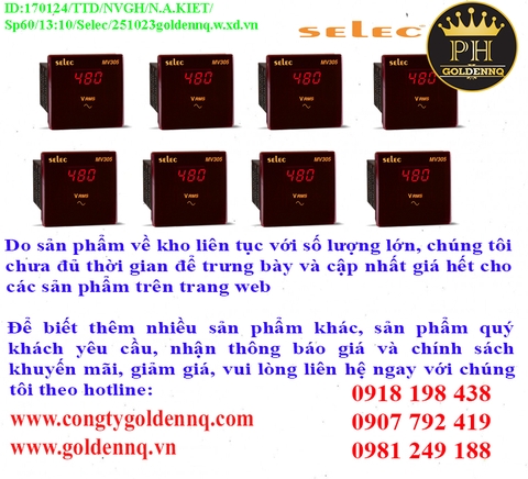 Đồng hồ đo điện Selec chính hãng, giá sỉ, bảo hành, phân phối toàn quốc.