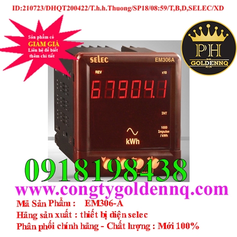 Đồng Hồ Đo Điện Năng Selec EM306-A