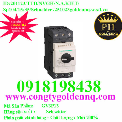 Cầu dao bảo vệ động cơ GV3P13 Schneider