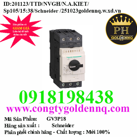 Cầu dao bảo vệ động cơ GV3P18 Schneider