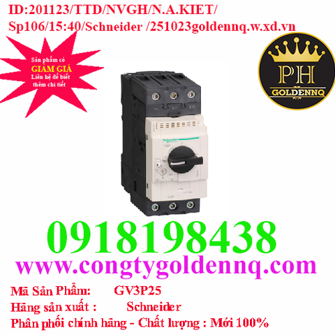 Cầu dao bảo vệ động cơ GV3P25 Schneider