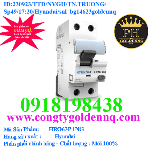 RCBO Hyundai HRO63P 1NG 1P+N