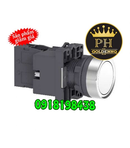 Nút Nhấn Có Đèn Schneider 22mm 24V AC/DC