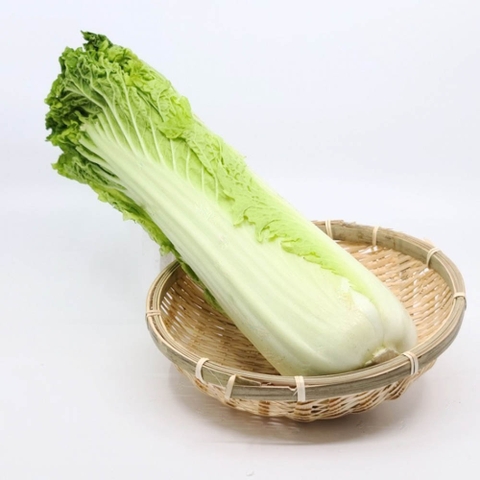 Bắp Cải Thảo Hỏa Tiễn