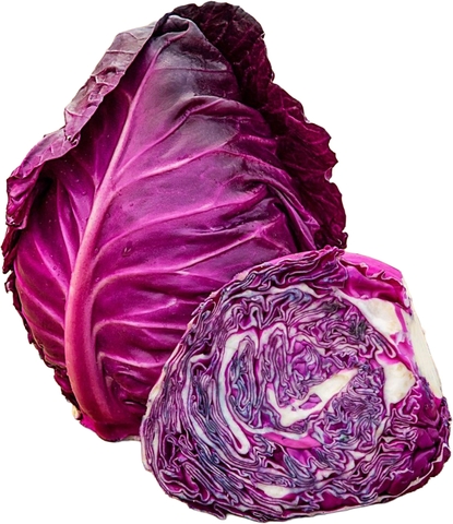 Bắp Cải Tím