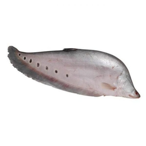Cá Thác Lác