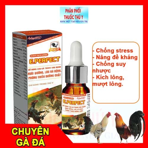 tăng sức đề kháng gà đá Ac Eperfect 10ml