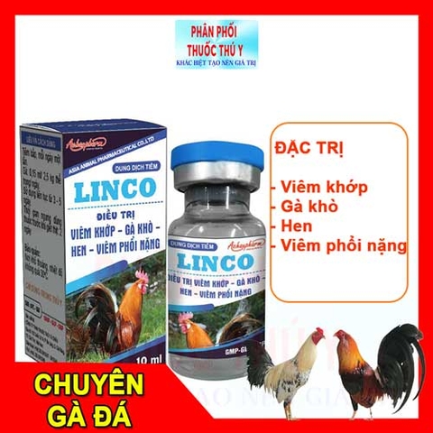 trị viêm khớp, viêm phổi nặng Ac Linco 10ml