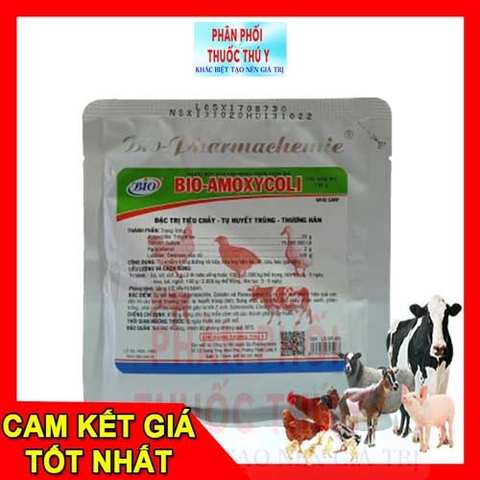 bio-amoxycoli-100gr-01
