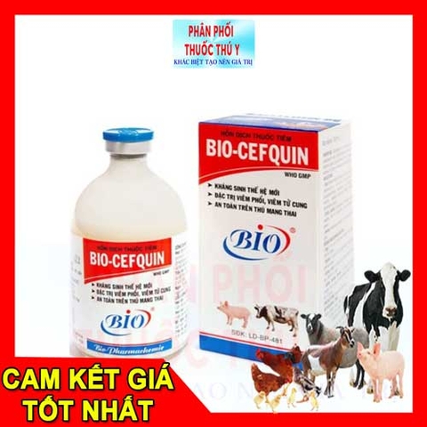 trị viêm phổi bio cefquin 20ml