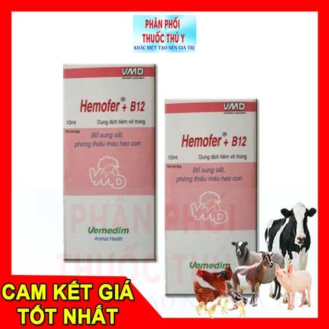 vemedim hemofer b12 10ml