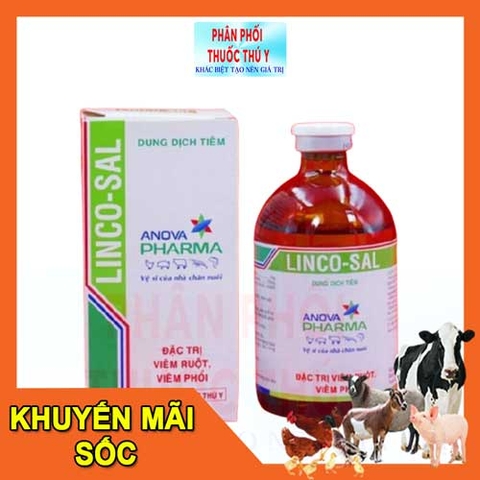 SGV LincoSal 100ml