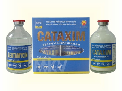 CL Cataxim Cặp 100ml