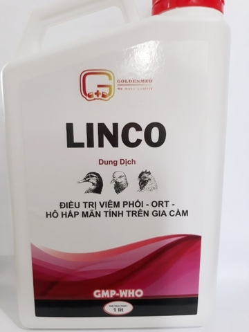golden-linco-10-lit