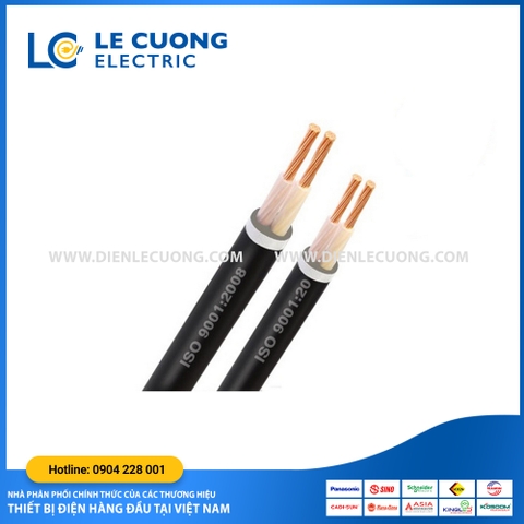 Cáp đồng chống cháy - 2x6 - Trần Phú (Cu/XLPE/PVC)