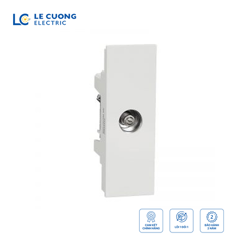 Ổ cắm angten TV, size S-dòng AvatarOn A Schneider
