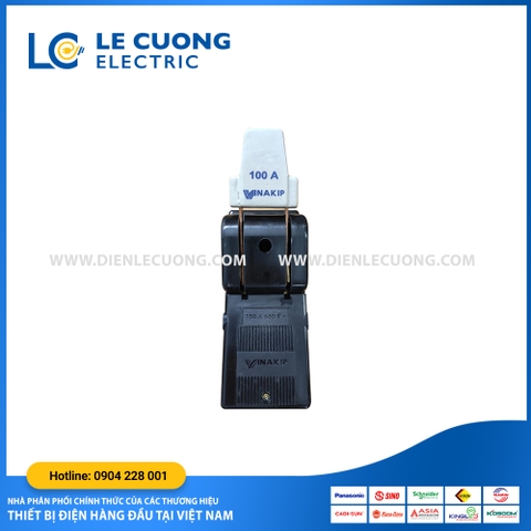 Cầu dao 2/100A Vinakip