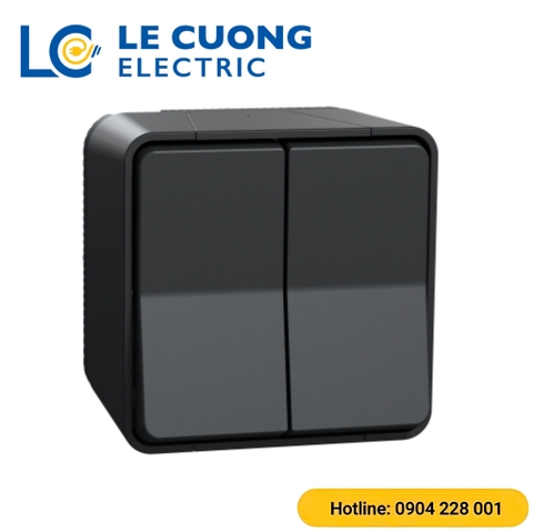 Bộ công tắc đôi hai chiều 10AX Schneider ELECTRIC