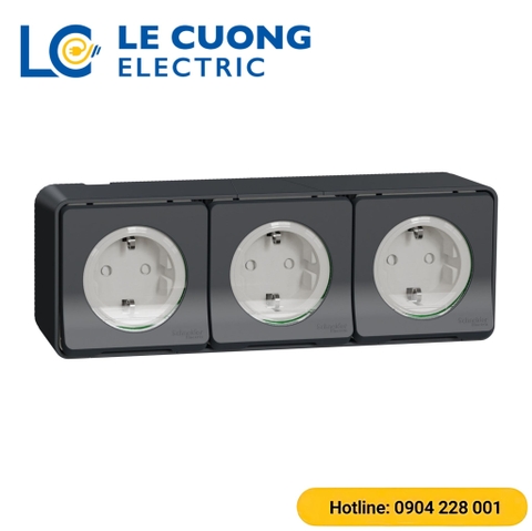 Ổ cắm ba 16A 2P+E Schneider ELECTRIC