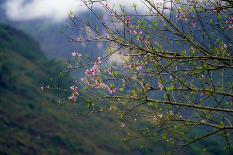 Lắng nghe mùa xuân về trên khắp Hà Giang