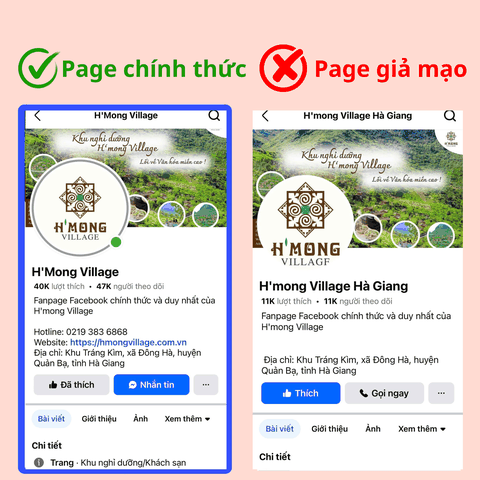 CẢNH BÁO GIẢ MẠO