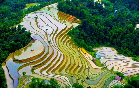Hà Giang Mùa Nước Đổ – Vẻ Đẹp Nguyên Bản Gọi Mời Những Bước Chân Xê Dịch