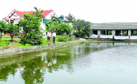 Phát triển mô hình kinh tế trang trại - hướng đi mới cho bà con nông dân.