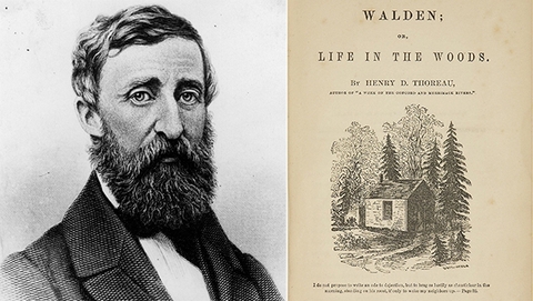 Walden Thoreau tròn 172 năm – vì sao cuốn sách về hai năm sống trong rừng vẫn chữa lành người đọc hôm nay