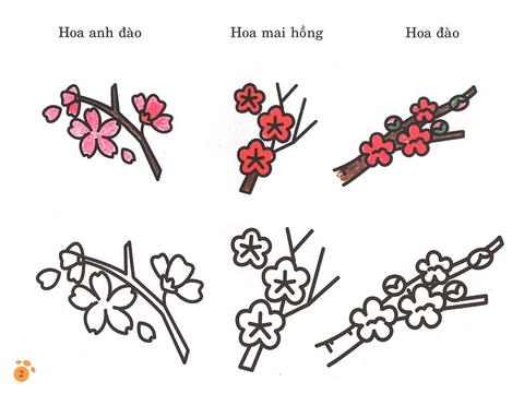 Bàn Tay Nhỏ Vẽ Tranh - Thực Vật Phong Phú