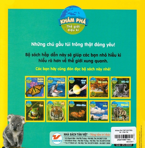 Khám Phá Thế Giới Diệu Kì - Gấu Túi