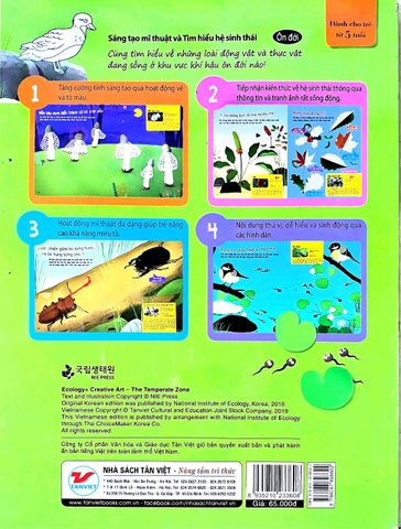 Sáng Tạo Mỹ Thuật Và Tìm Hiểu Hệ Sinh Thái - Ôn Đới