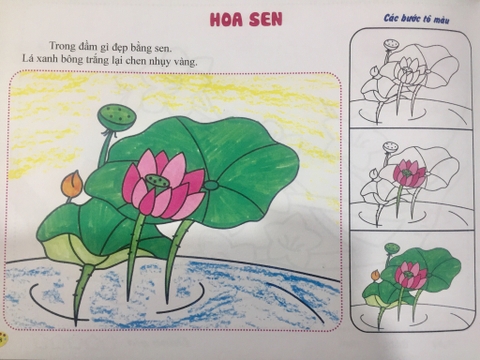 Mỹ Thuật Nhi Đồng - Tô Màu Thực Vật