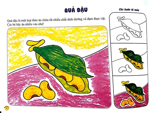 Mỹ Thuật Nhi Đồng - Tô Màu Trái Cây
