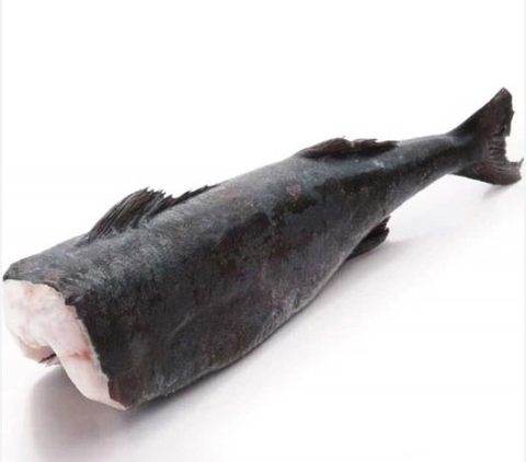 Cá Tuyết - Gindara