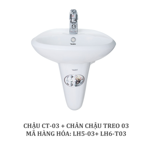 Chậu CT03
