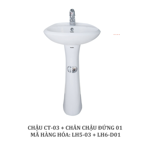 Chậu đứng CT03