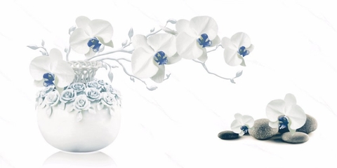 Gạch ốp MECO3611D