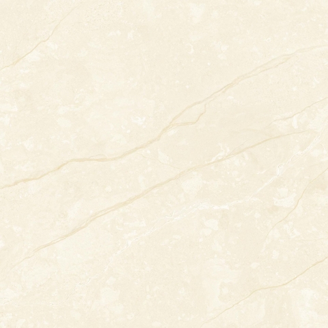 Gạch lát MLX8002
